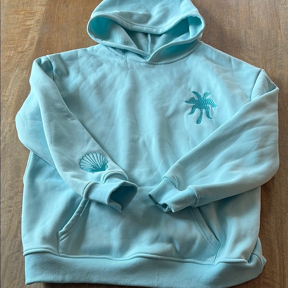 Light Blue Hoodie with Embroidered Design